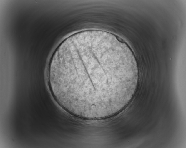 X0000087591531200705251851