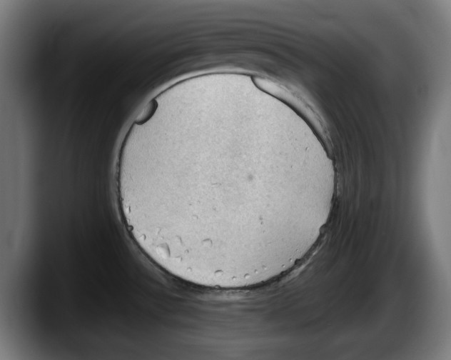 X0000087591532200705251851