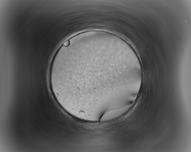 X0000087591533200705251851