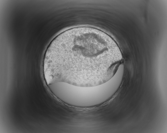 X0000087591534200705251851