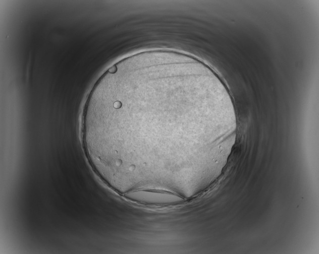 X0000087591535200705251851