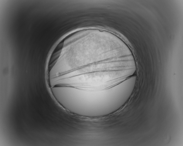 X0000087591536200705251851