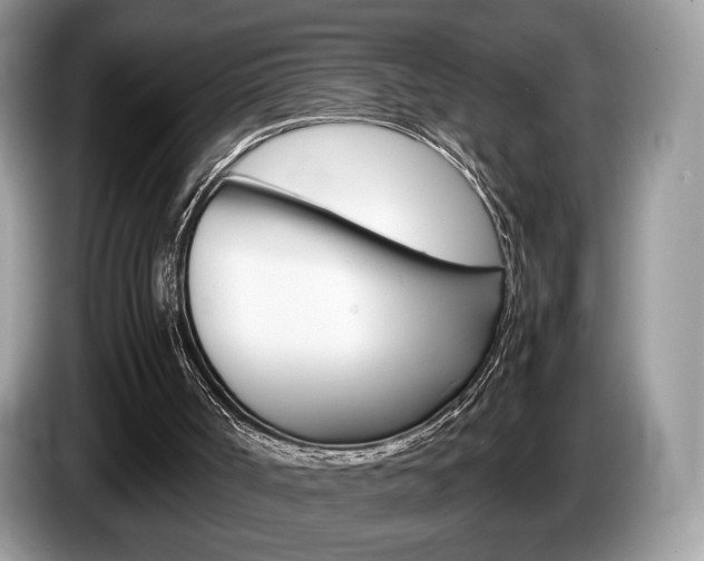X0000087600002200704271051