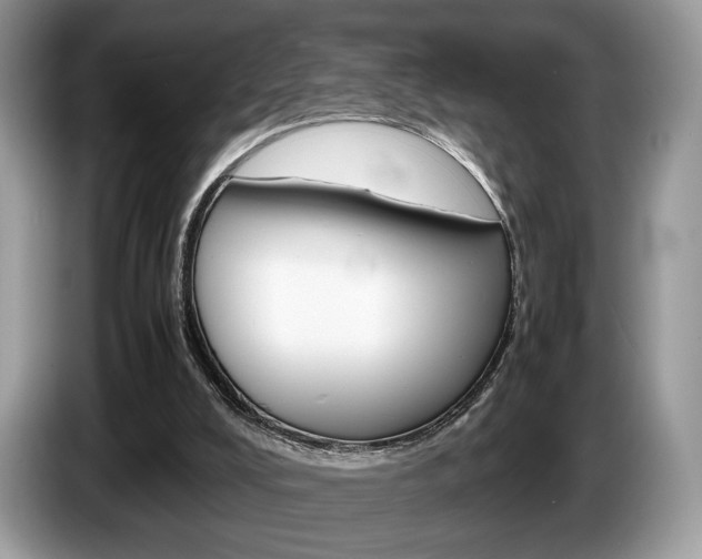 X0000087600008200704271051