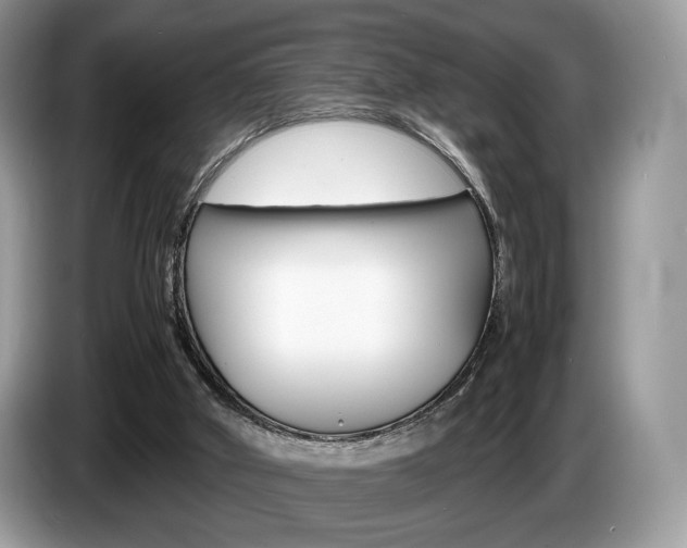 X0000087600010200704271051