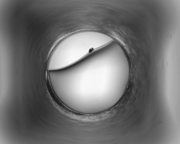 X0000087600011200704271051