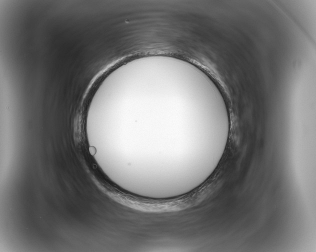X0000087600012200704271051