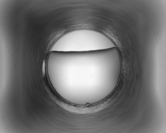 X0000087600014200704271051