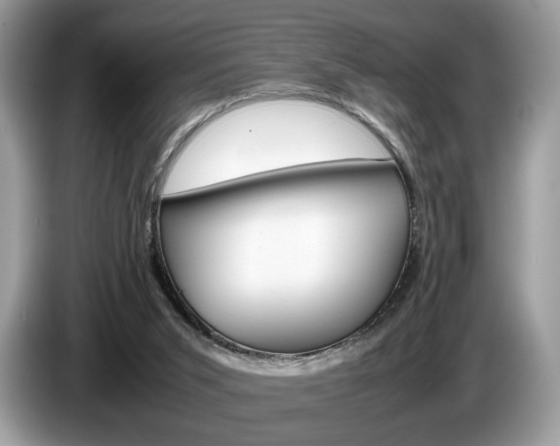 X0000087600015200704271051
