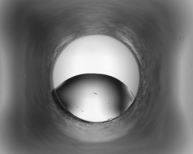 X0000087600019200704271051