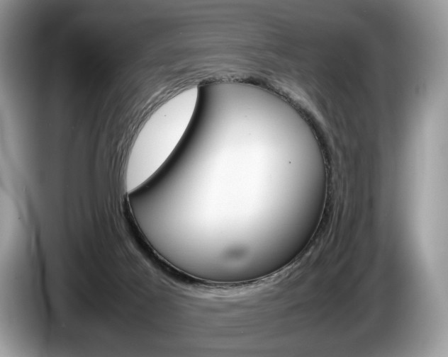 X0000087600021200704271051
