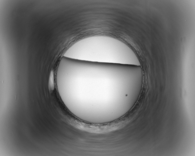 X0000087600022200704271051