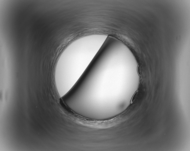 X0000087600023200704271051