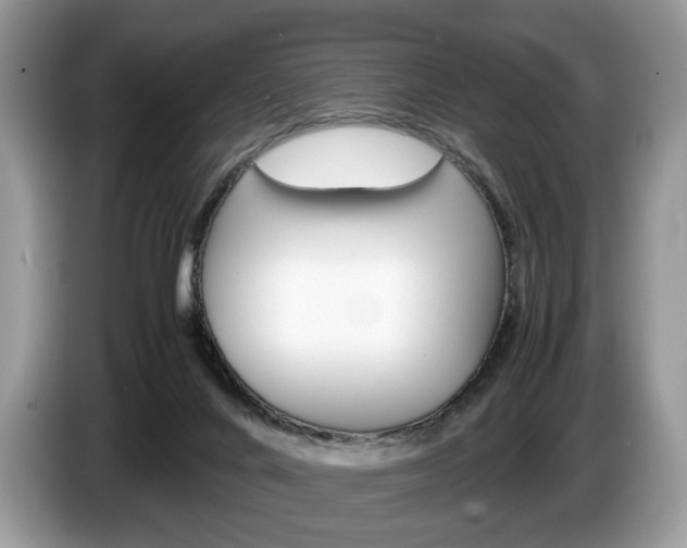 X0000087600024200704271051