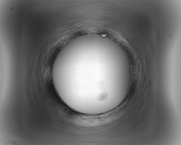 X0000087600029200704271051