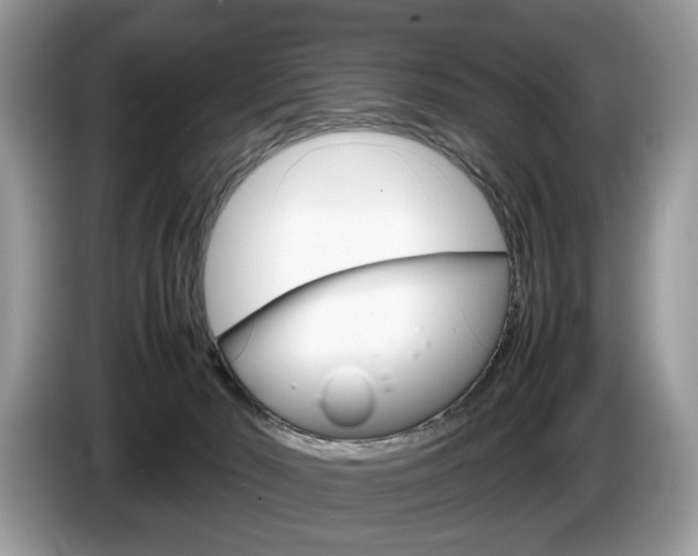 X0000087600030200704271051