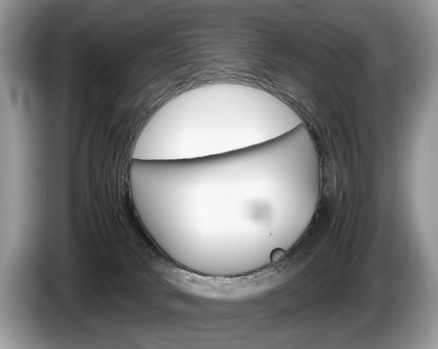 X0000087600034200704271051