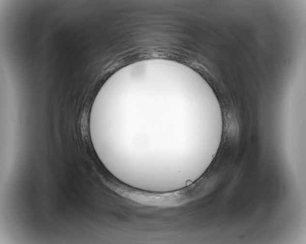 X0000087600036200704271051