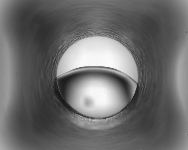 X0000087600039200704271051