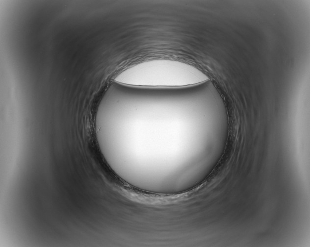 X0000087600040200704271051