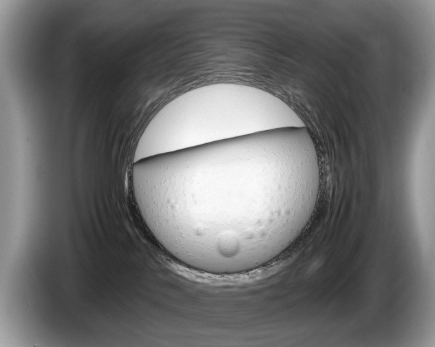 X0000087600042200704271051