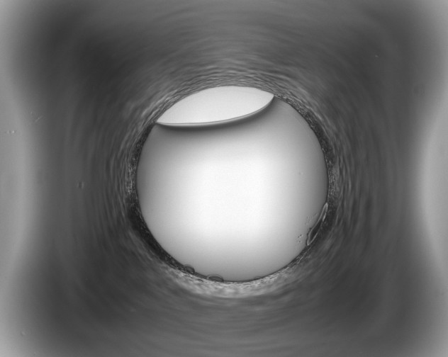 X0000087600043200704271051