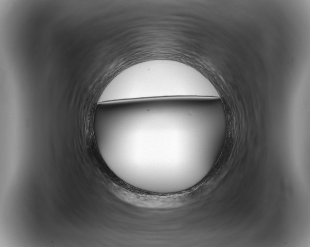 X0000087600044200704271051