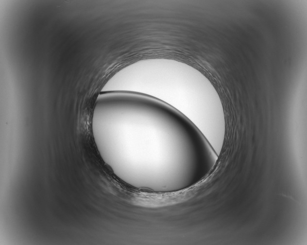 X0000087600045200704271051