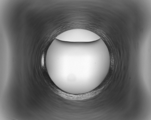 X0000087600046200704271051