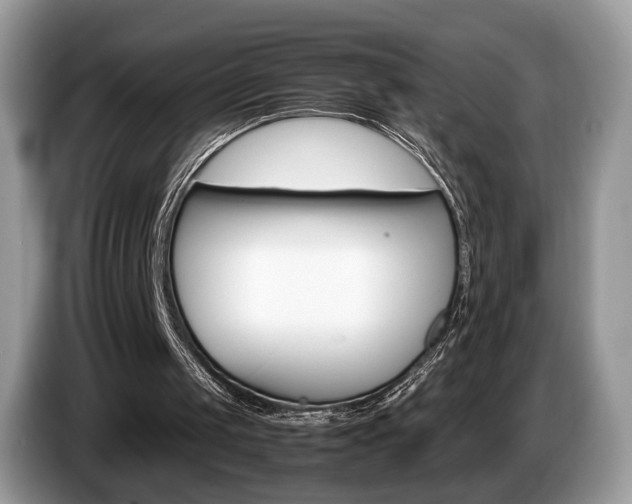 X0000087600049200704271050