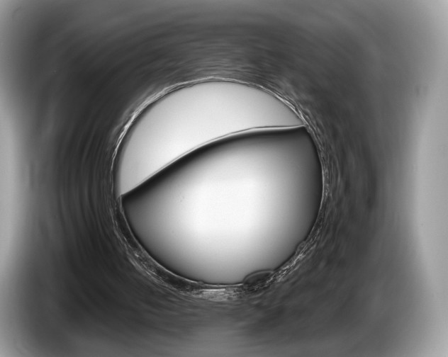X0000087600050200704271050