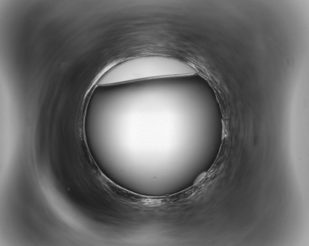 X0000087600052200704271050