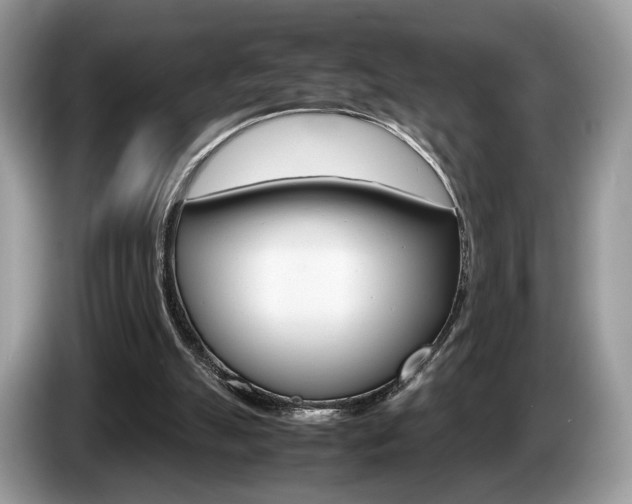X0000087600055200704271050