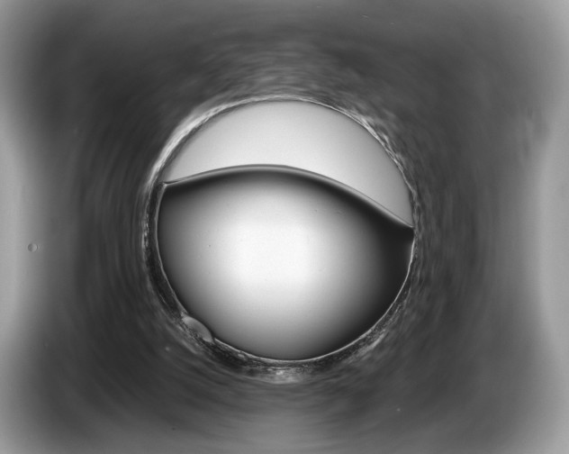 X0000087600056200704271050