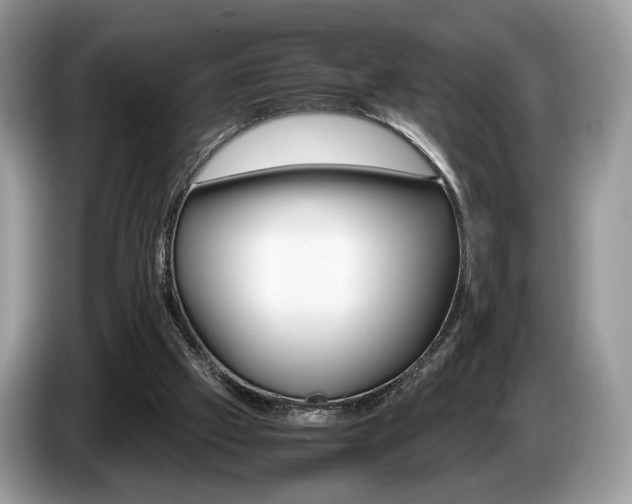 X0000087600057200704271050