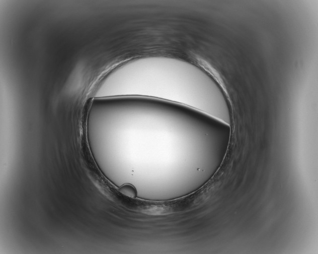 X0000087600059200704271050