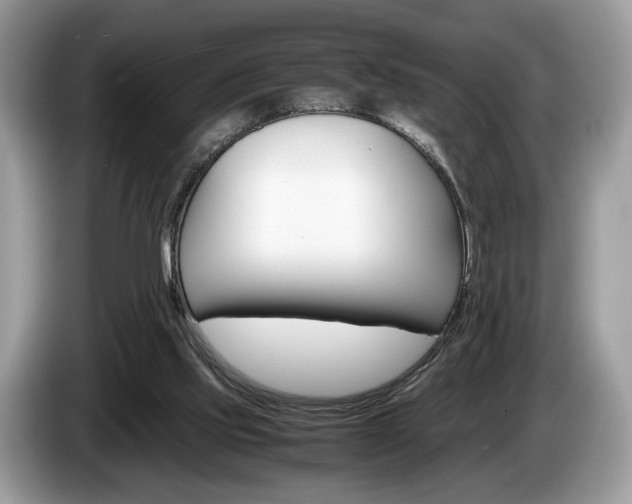X0000087600061200704271050