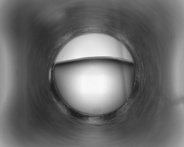 X0000087600070200704271050
