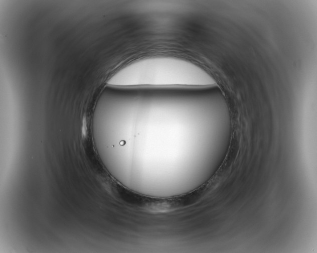 X0000087600075200704271050