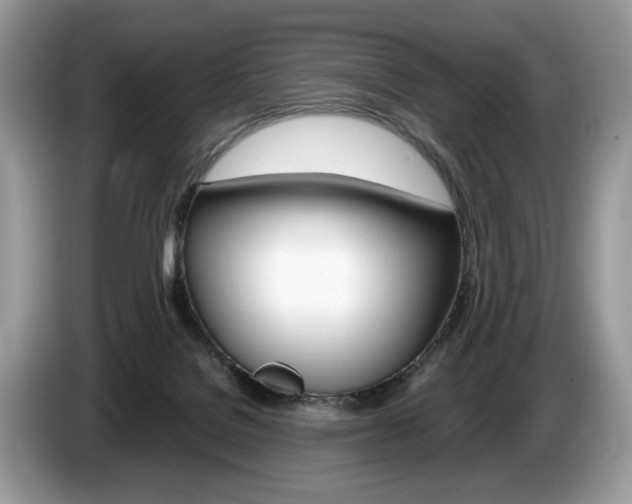X0000087600076200704271050