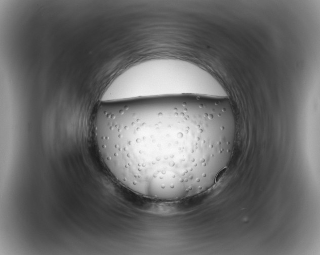 X0000087600078200704271050