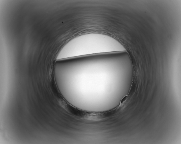X0000087600082200704271050