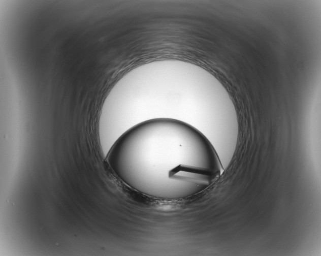 X0000087600088200704271051