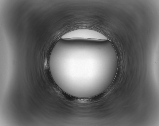 X0000087600089200704271051