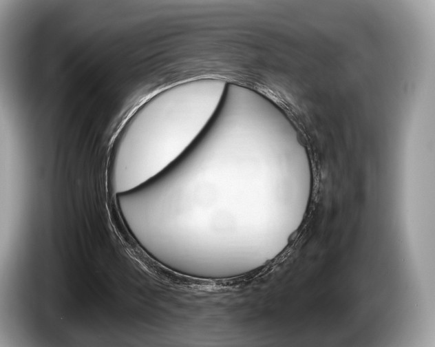 X0000087600098200704271050