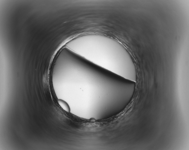 X0000087600100200704271050