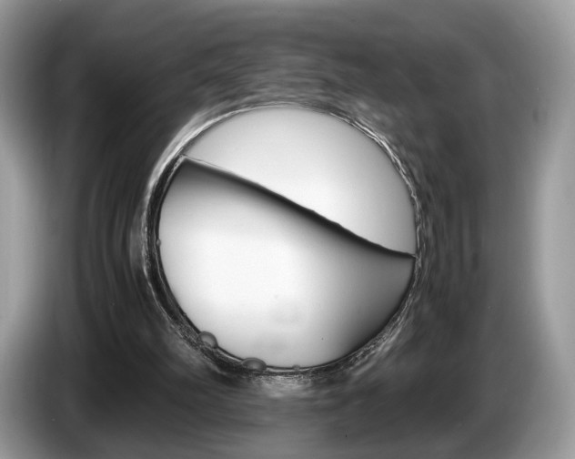 X0000087600102200704271050