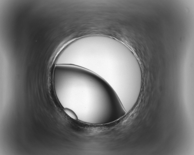 X0000087600103200704271050
