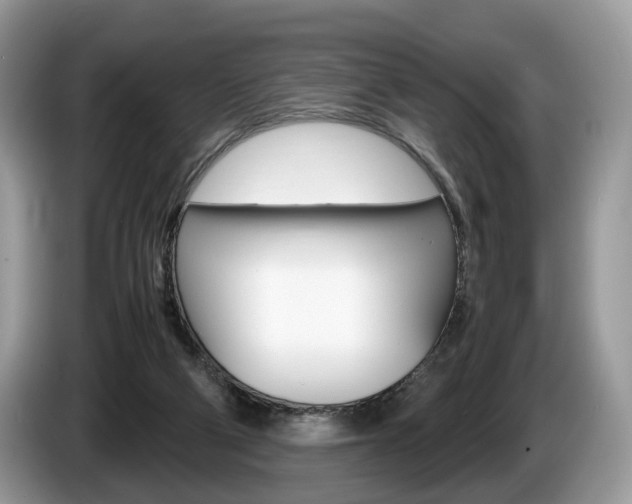 X0000087600114200704271050