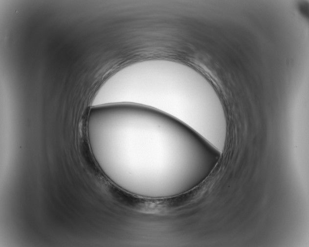 X0000087600117200704271050